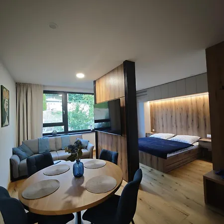 Apartman Vyhne * 维尼