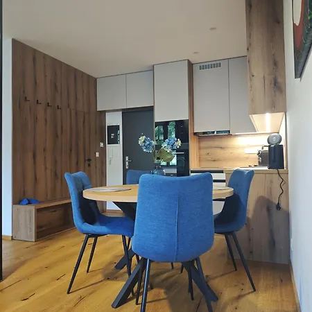 Apartman Vyhne 维尼