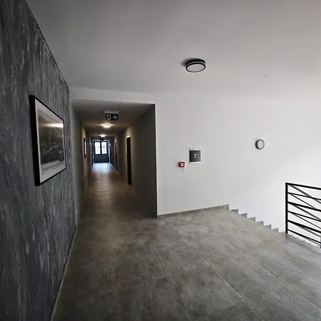 Apartman Vyhne * 维尼